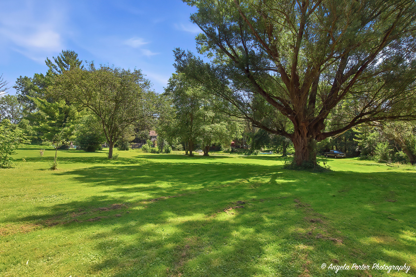 5124 Bonnie Brae Road Property Photo 44