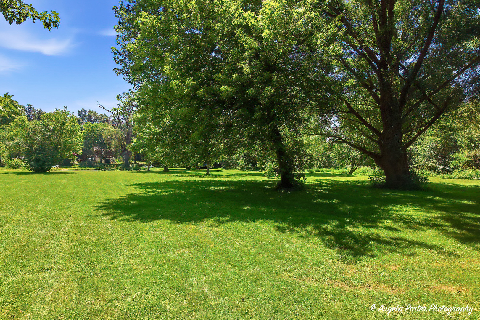 5124 Bonnie Brae Road Property Photo 45