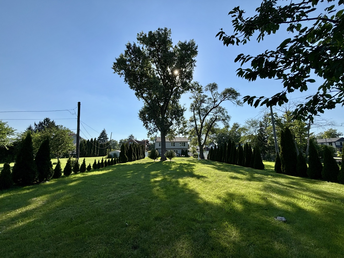 877 John Street Property Photo 46