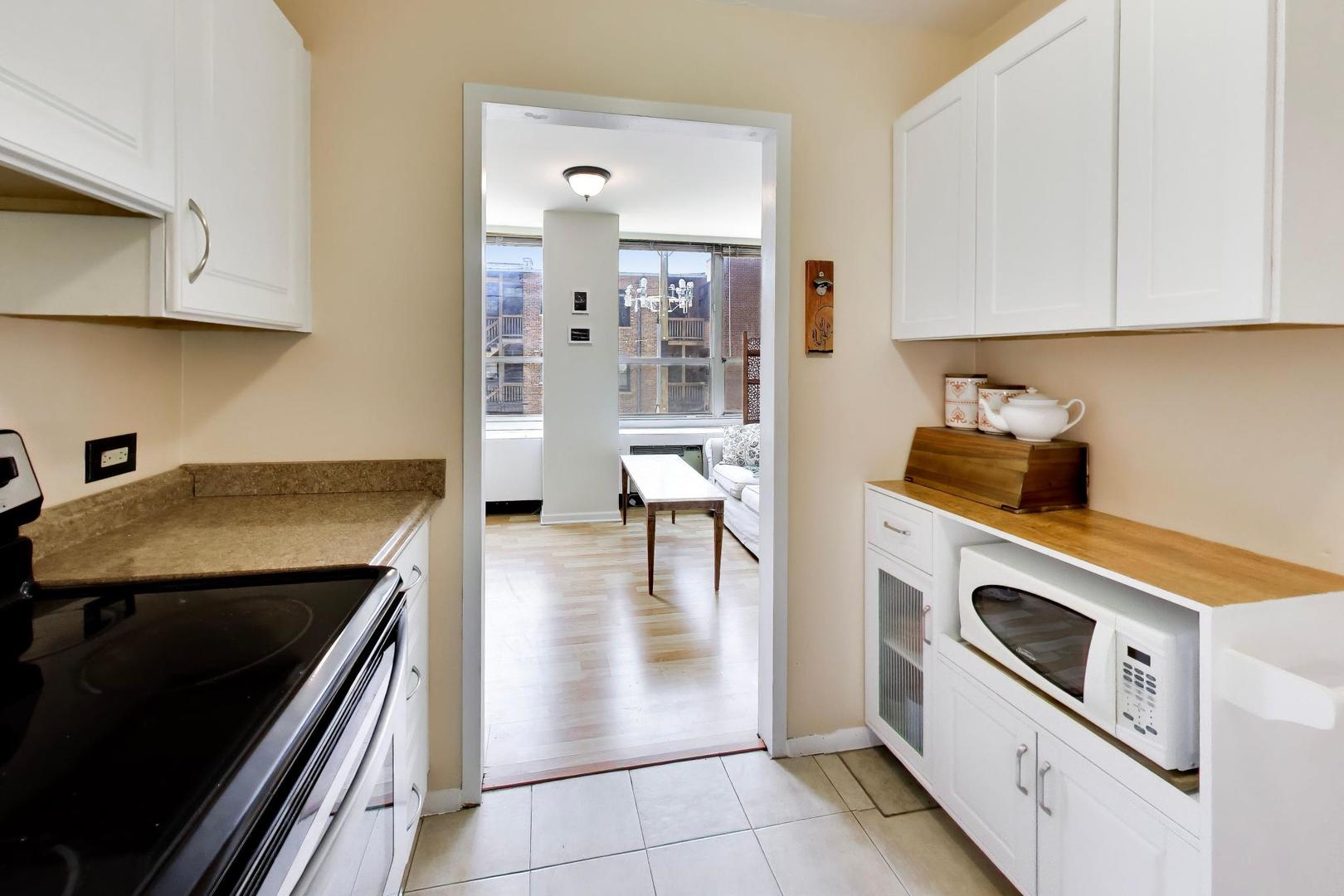 3550 N Lake Shore Drive 228 Property Photo 12