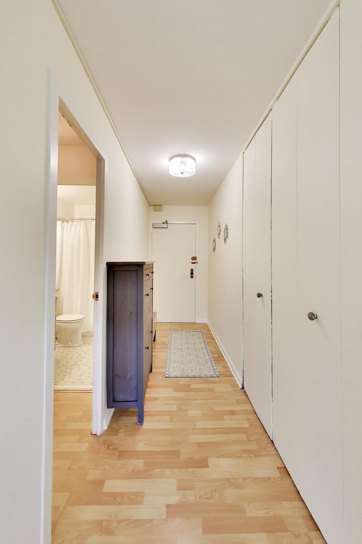 3550 N Lake Shore Drive 228 Property Photo 13