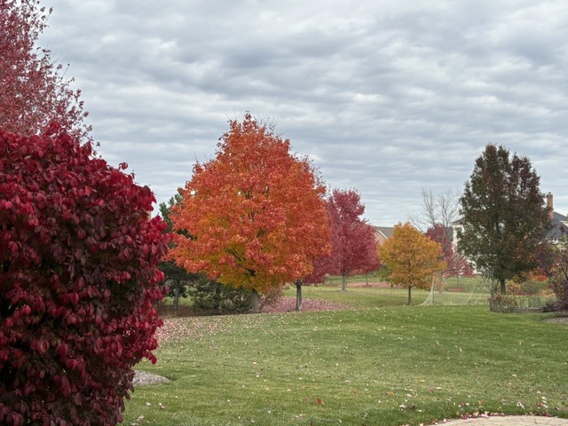 29 Glacier Circle Property Photo 41