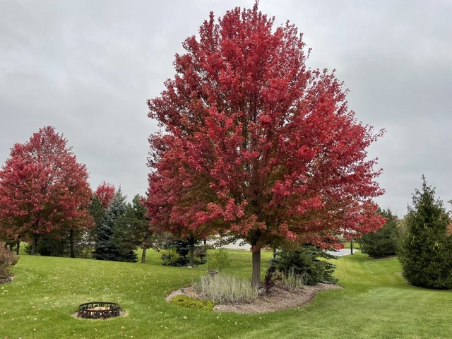 29 Glacier Circle Property Photo 43