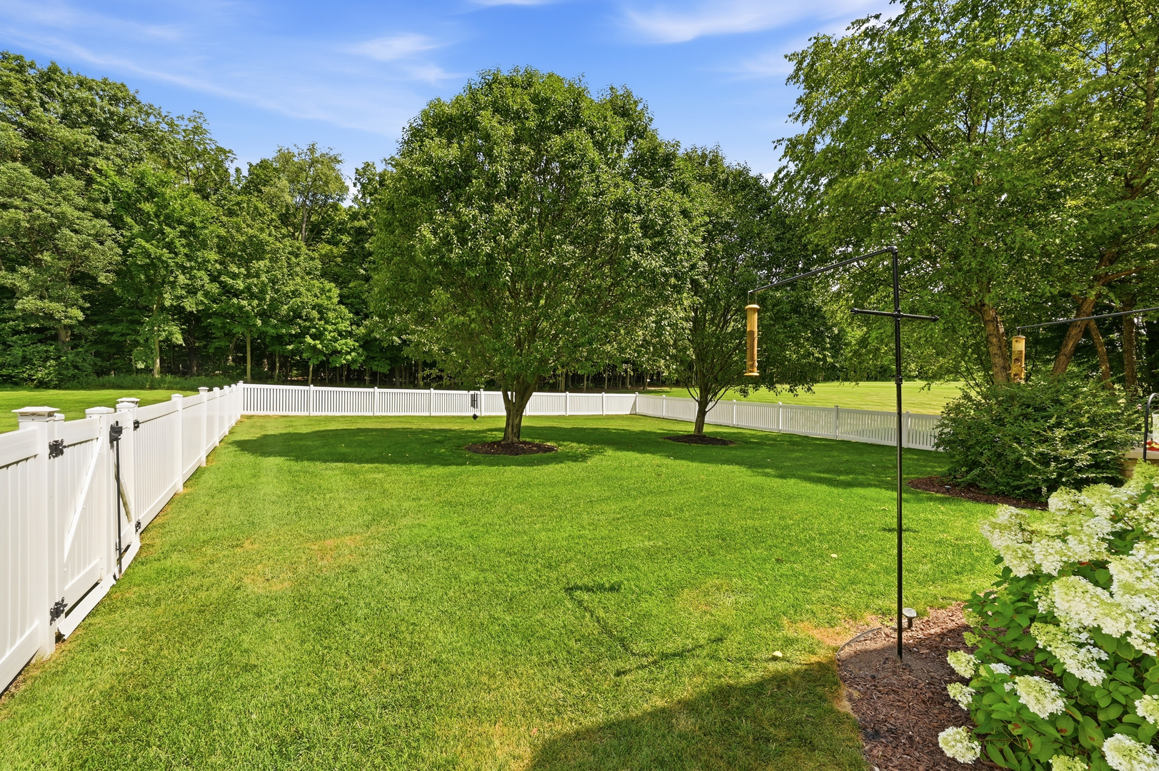 6117 Whitetail Ridge Drive Property Photo 57