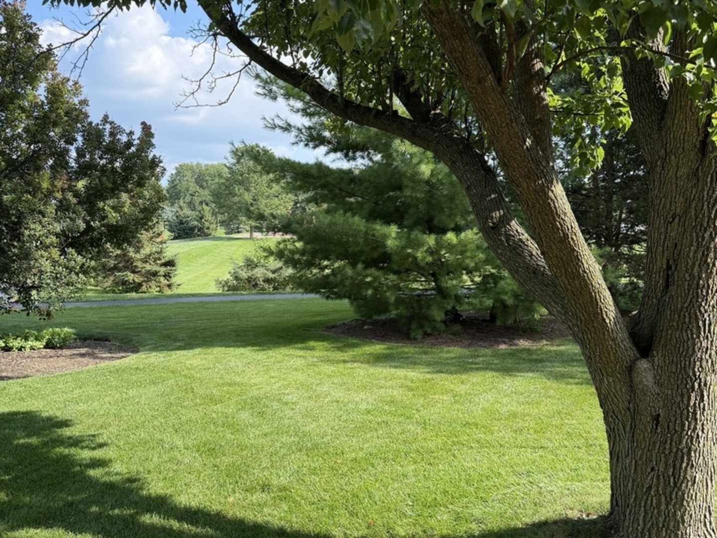 12706671 Property Photo 12