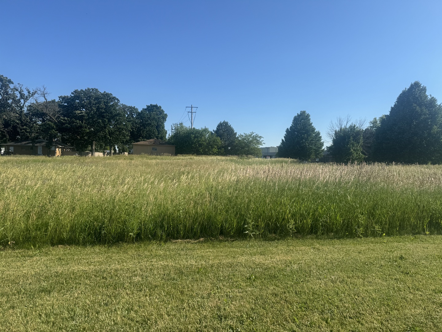 12025 Oakcrest Drive Property Photo 4