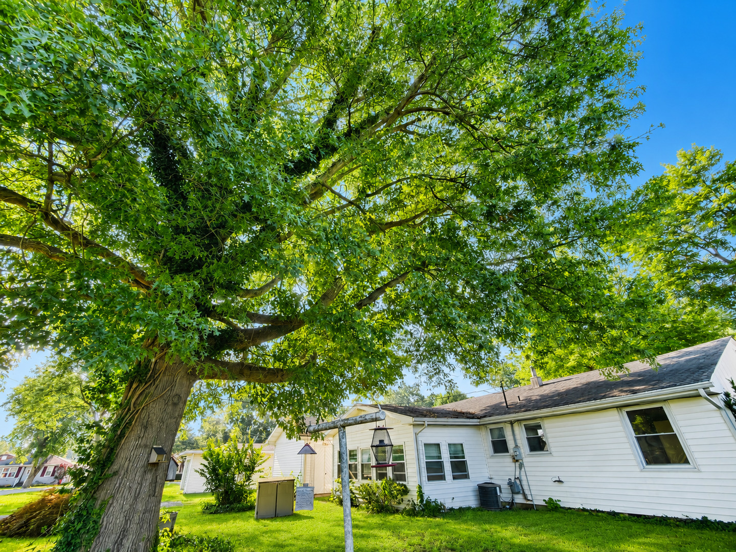 310 Hickory Street Property Photo 47