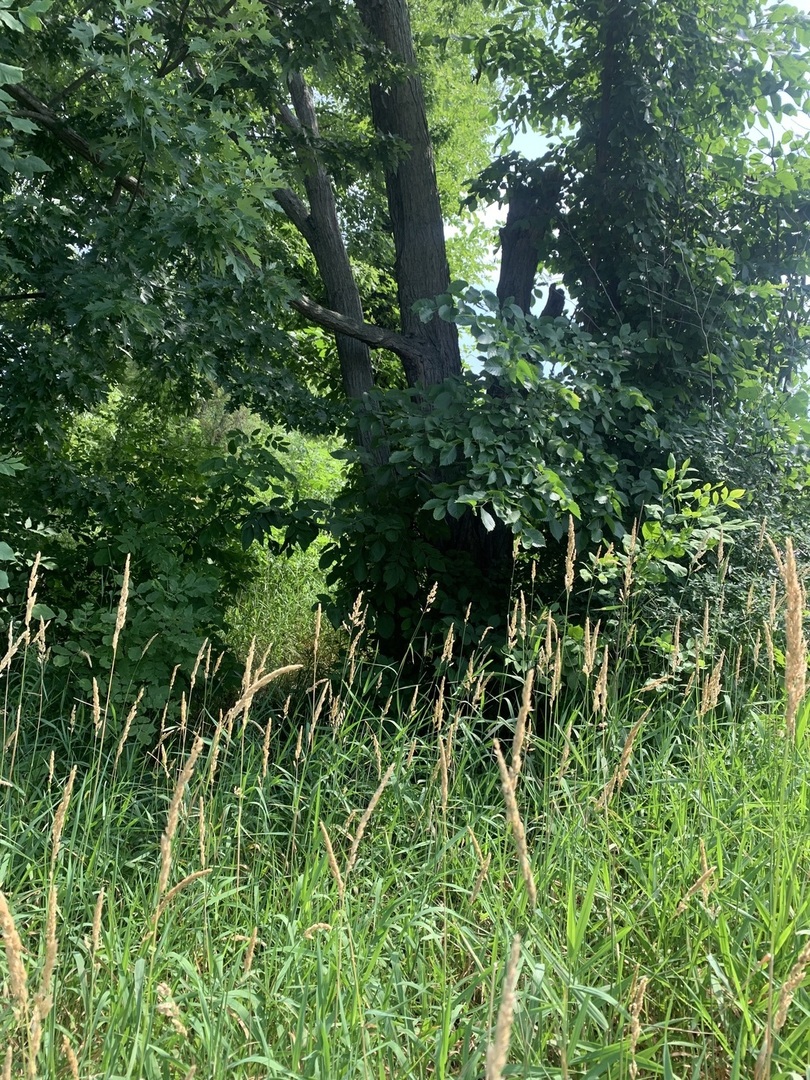 39230 N Us Highway 41 Highway Property Photo 1