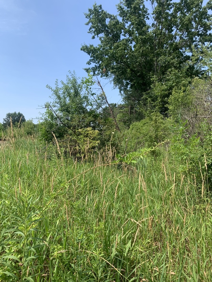 39230 N Us Highway 41 Highway Property Photo 2