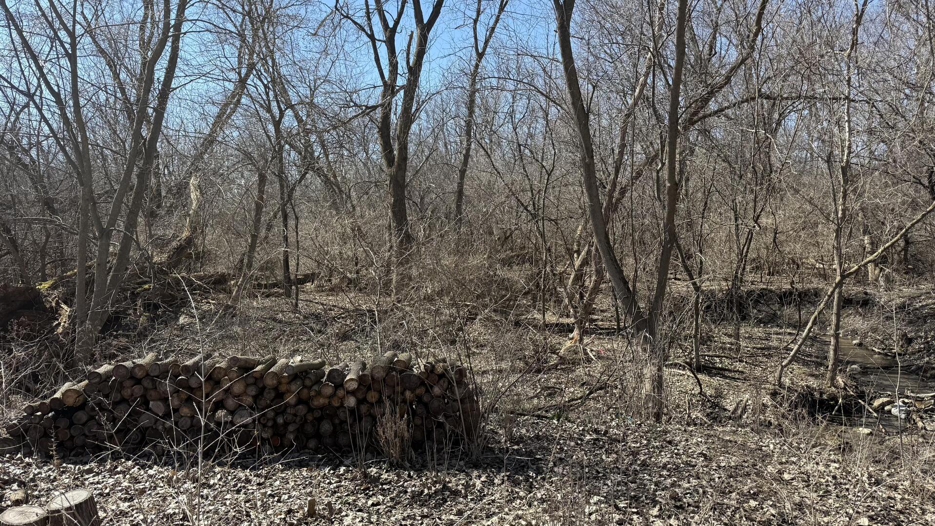 Lot 1 E Hilltop Boulevard Property Photo 3