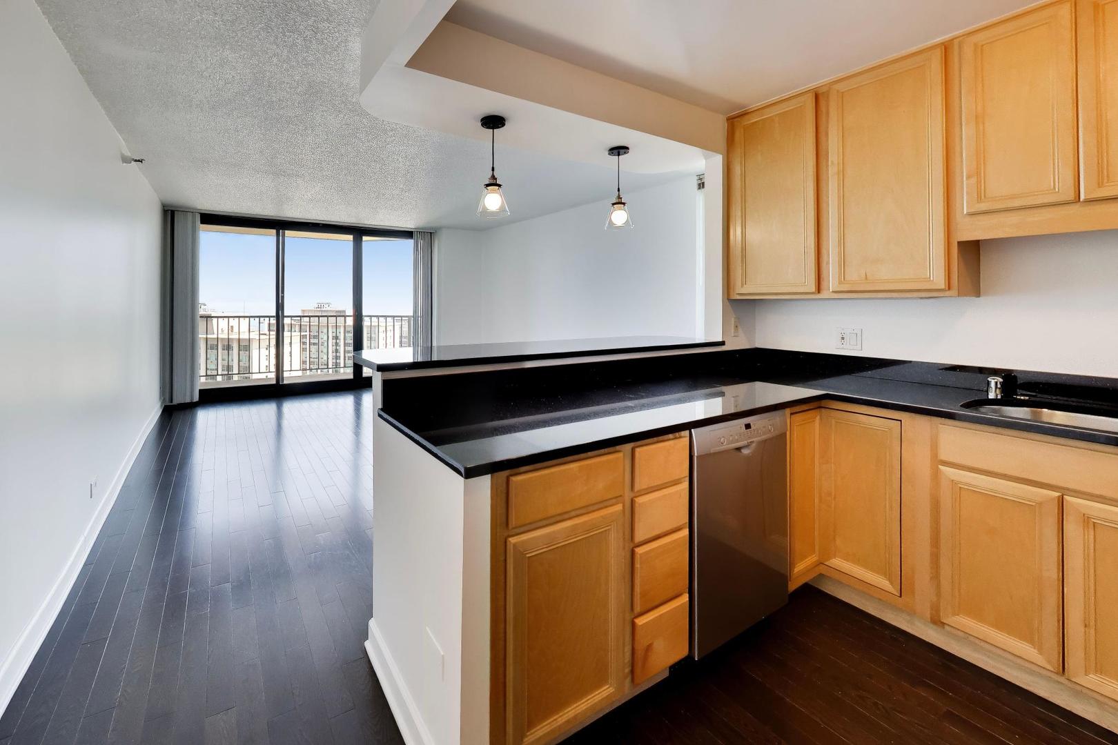 3660 N Lake Shore Drive 3307 Property Photo 6