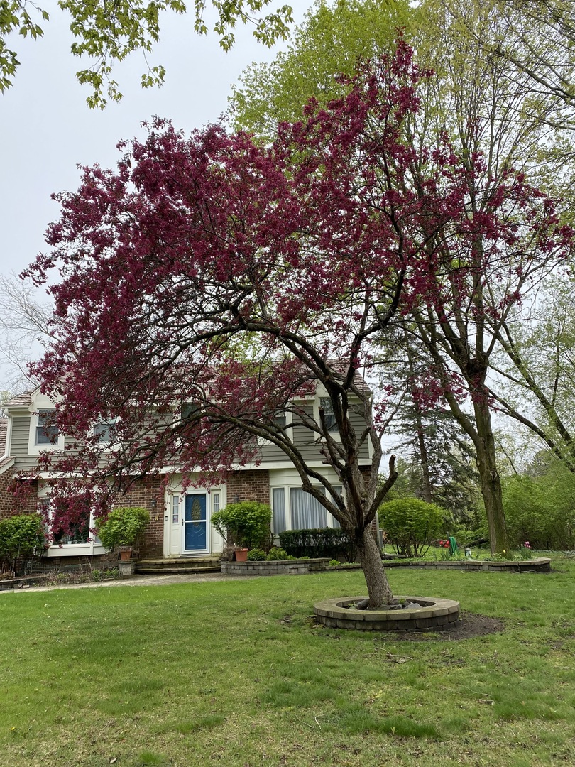 5544 Oak Grove Drive Property Photo 40