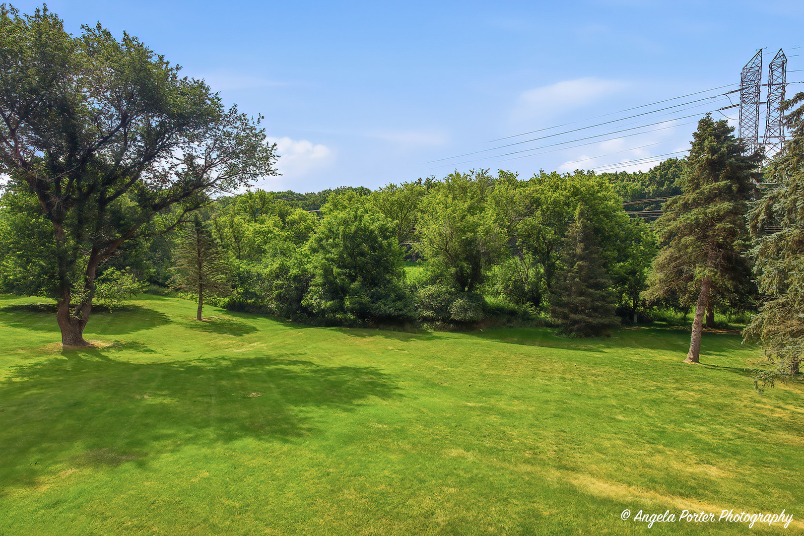 167 Burning Bush Trail Property Photo 41
