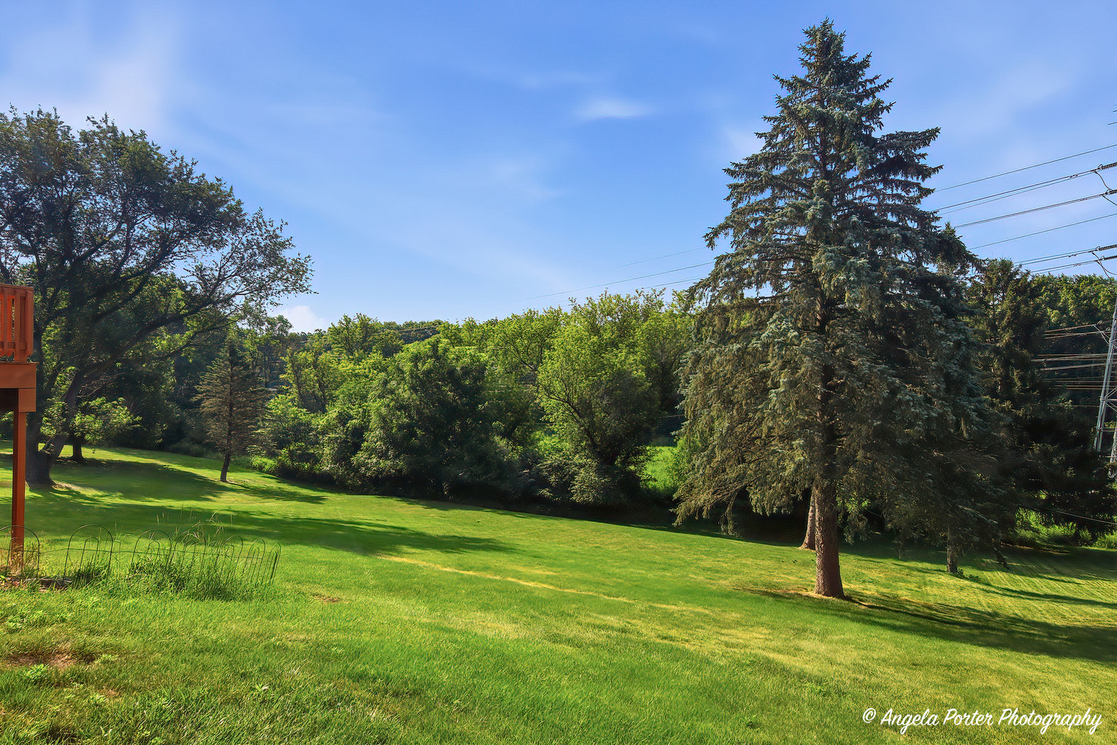 167 Burning Bush Trail Property Photo 42