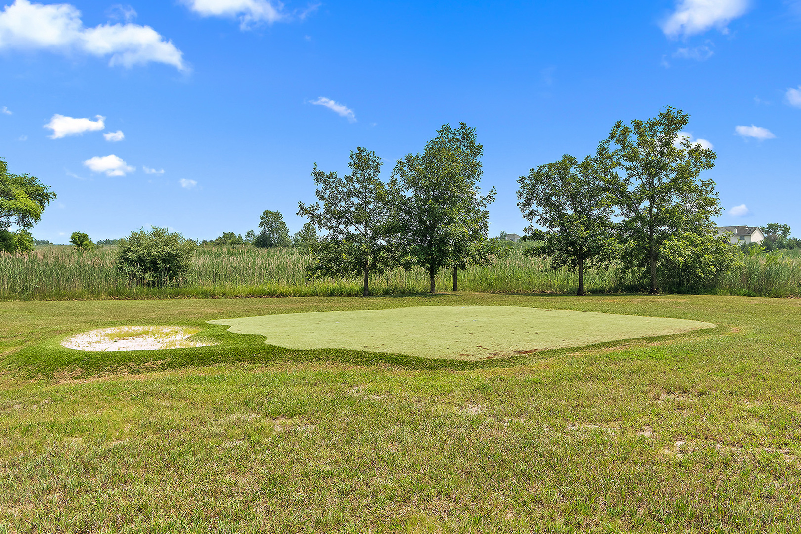 8726 E Goodfarm Road Property Photo 29