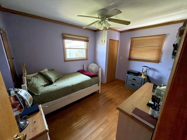 17 Sycamore Avenue Property Photo 7