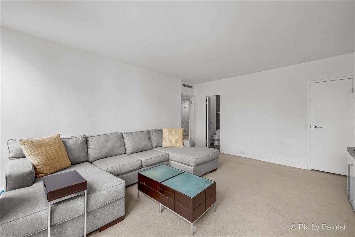 860 N Lake Shore Drive 19l Property Photo 18