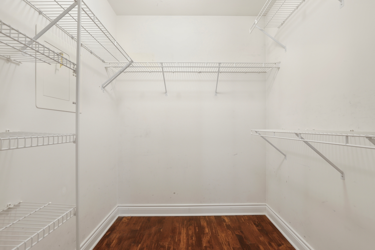 625 Coneflower Court Property Photo 15