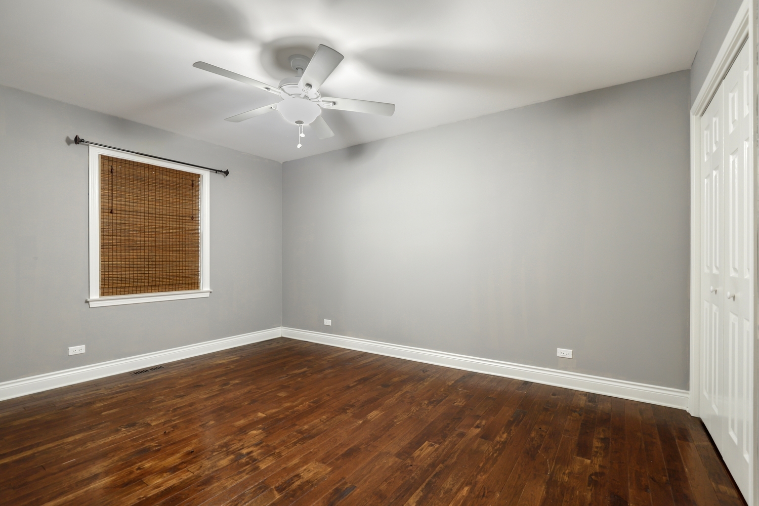 625 Coneflower Court Property Photo 19