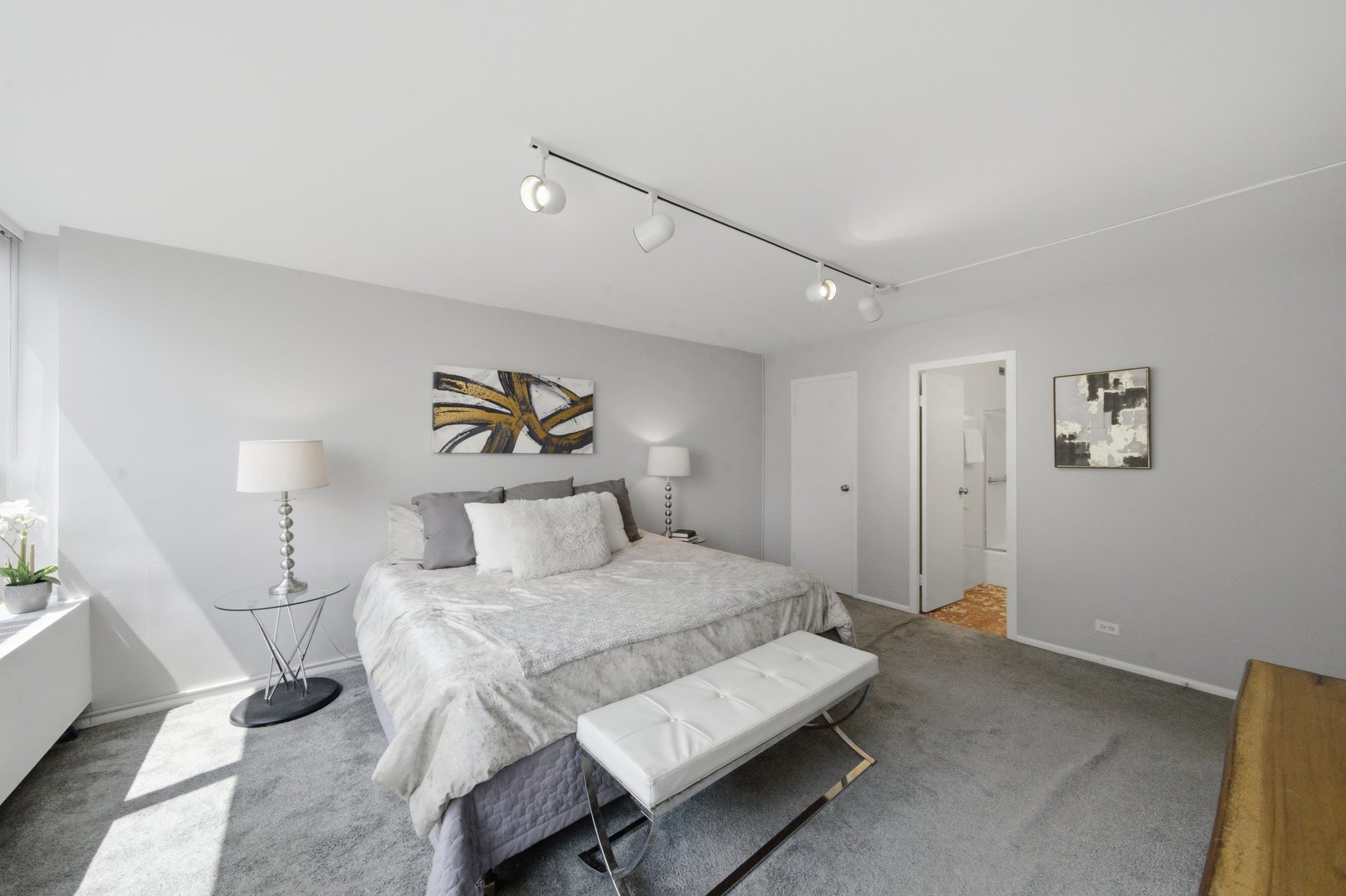3550 N Lake Shore Drive 1102 Property Photo 16