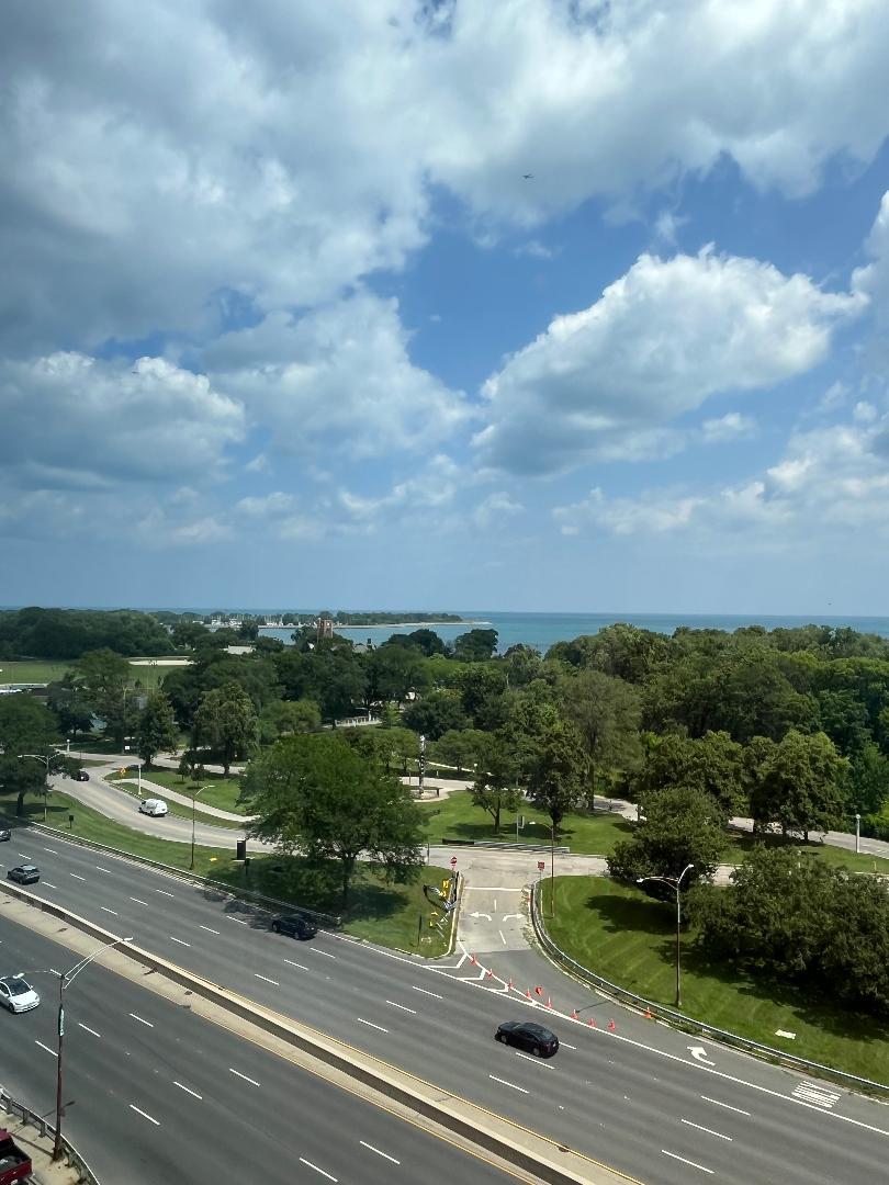 3550 N Lake Shore Drive 1102 Property Photo 23