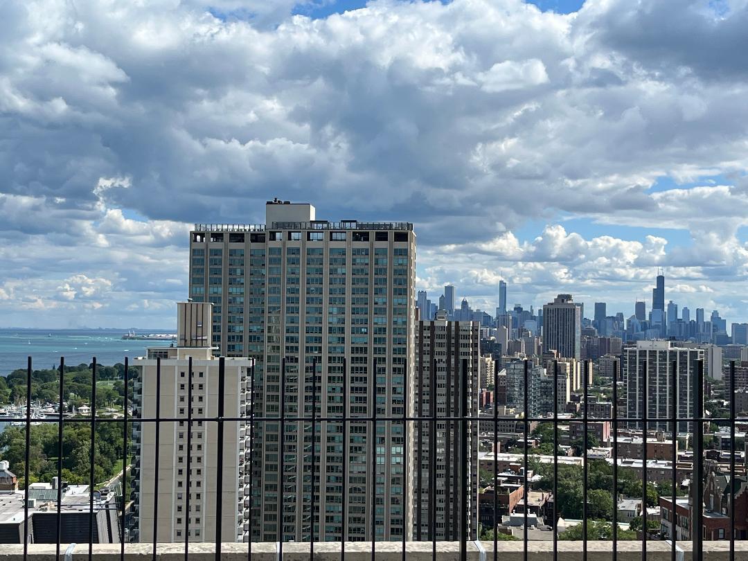 3550 N Lake Shore Drive 1102 Property Photo 29