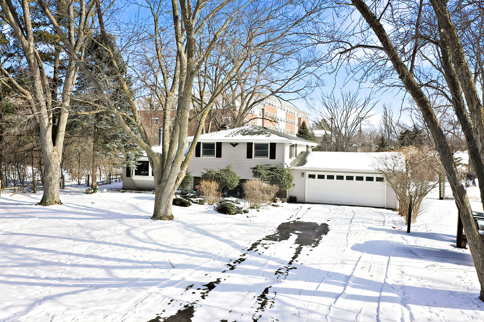 8 E Rollins Road Property Photo 16