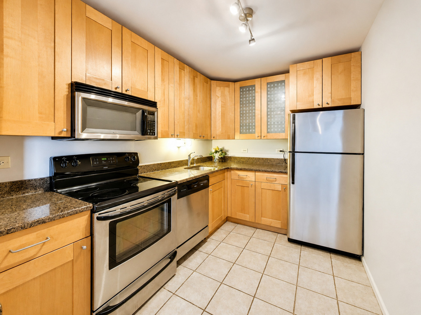 655 W Irving Park Road 5411 Property Photo 11