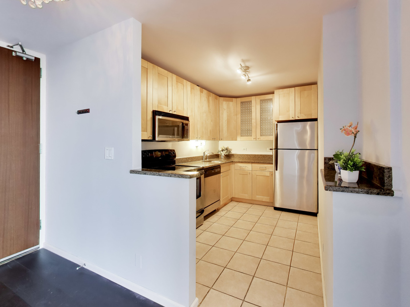 655 W Irving Park Road 5411 Property Photo 12