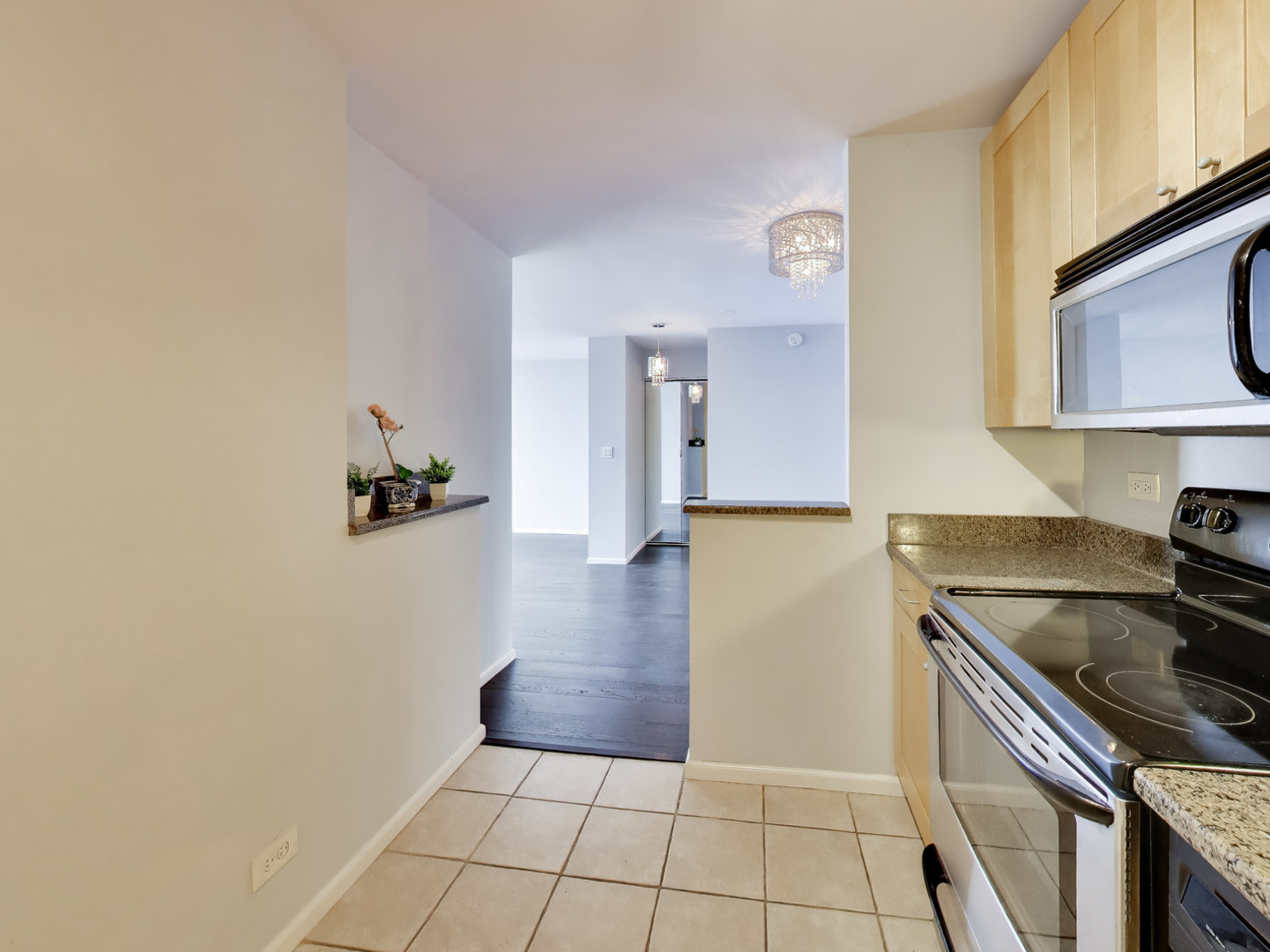 655 W Irving Park Road 5411 Property Photo 13