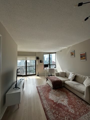 400 N La Salle Drive 2209 Property Photo 5