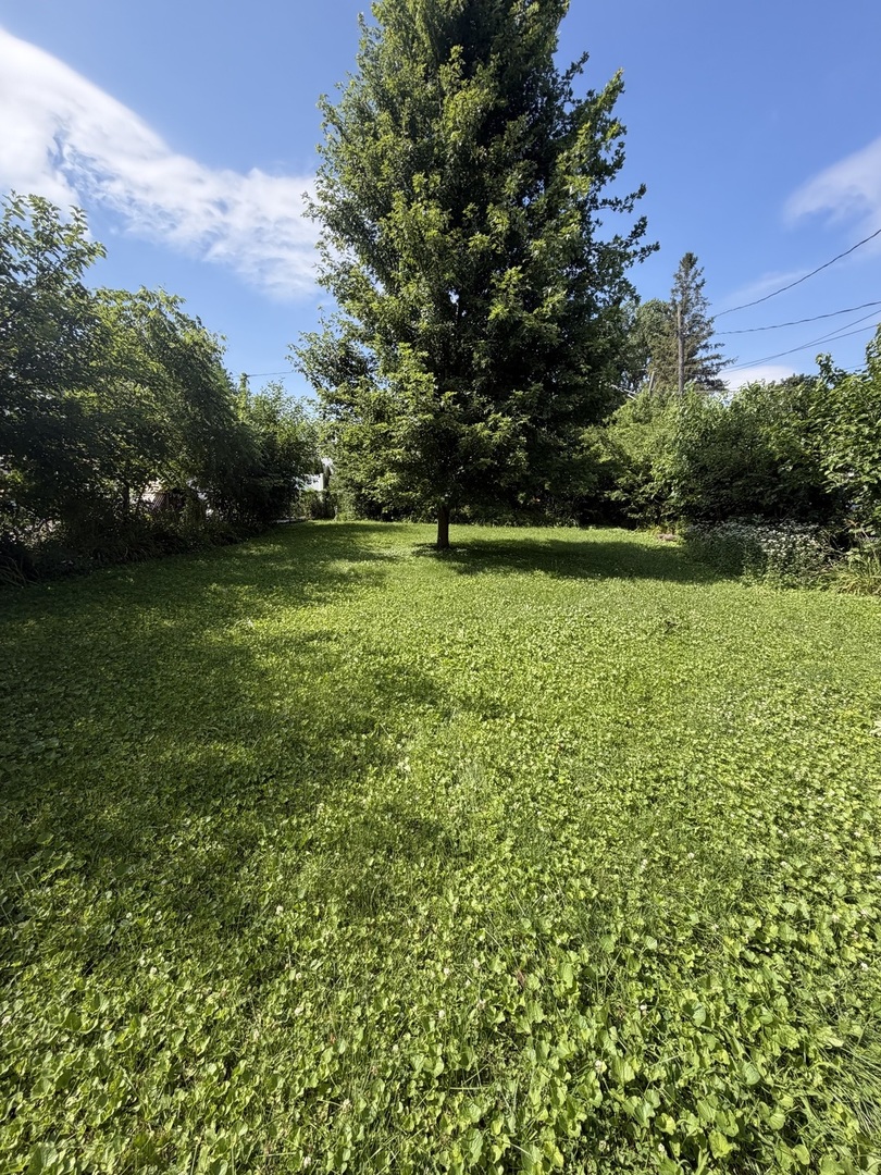 8130 45th Place Property Photo 11