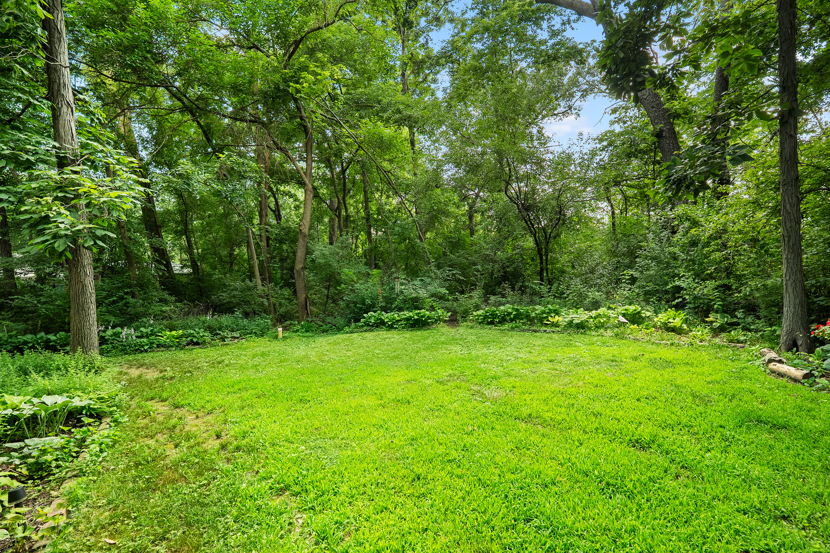 6507 White Doe Trail Property Photo 33