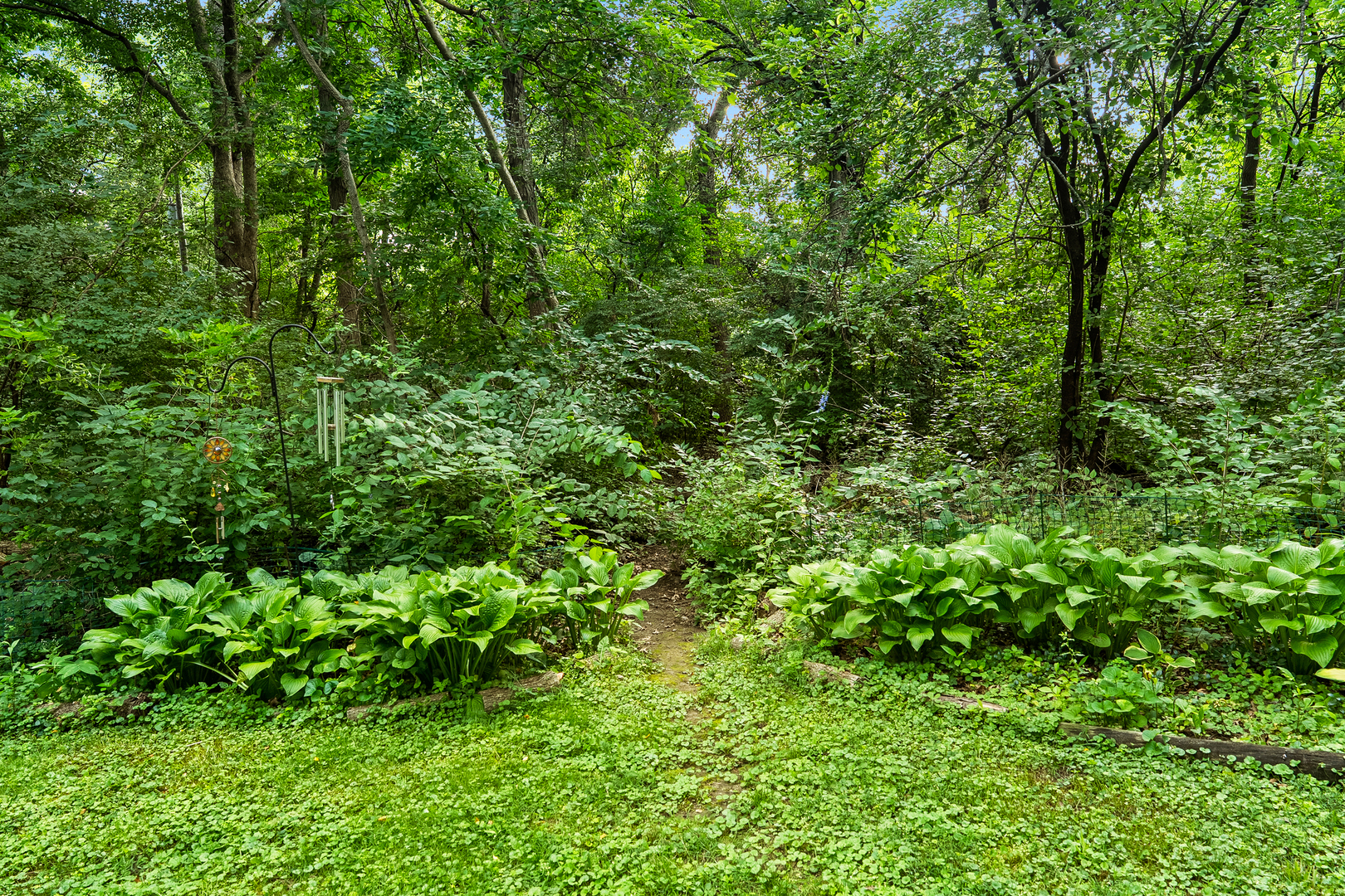 6507 White Doe Trail Property Photo 34