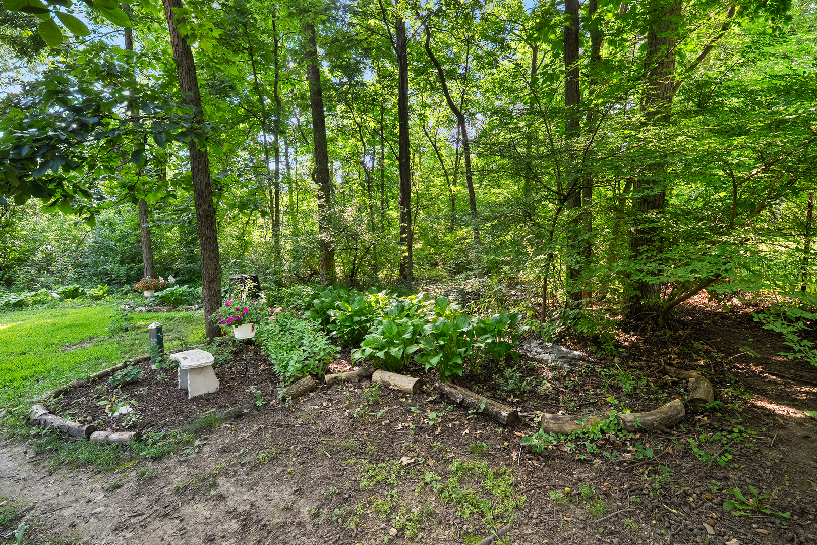 6507 White Doe Trail Property Photo 35