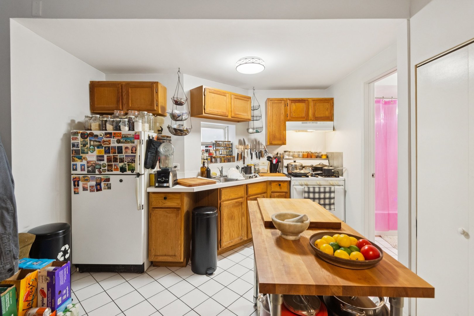 1409 W Ohio Street Property Photo 18