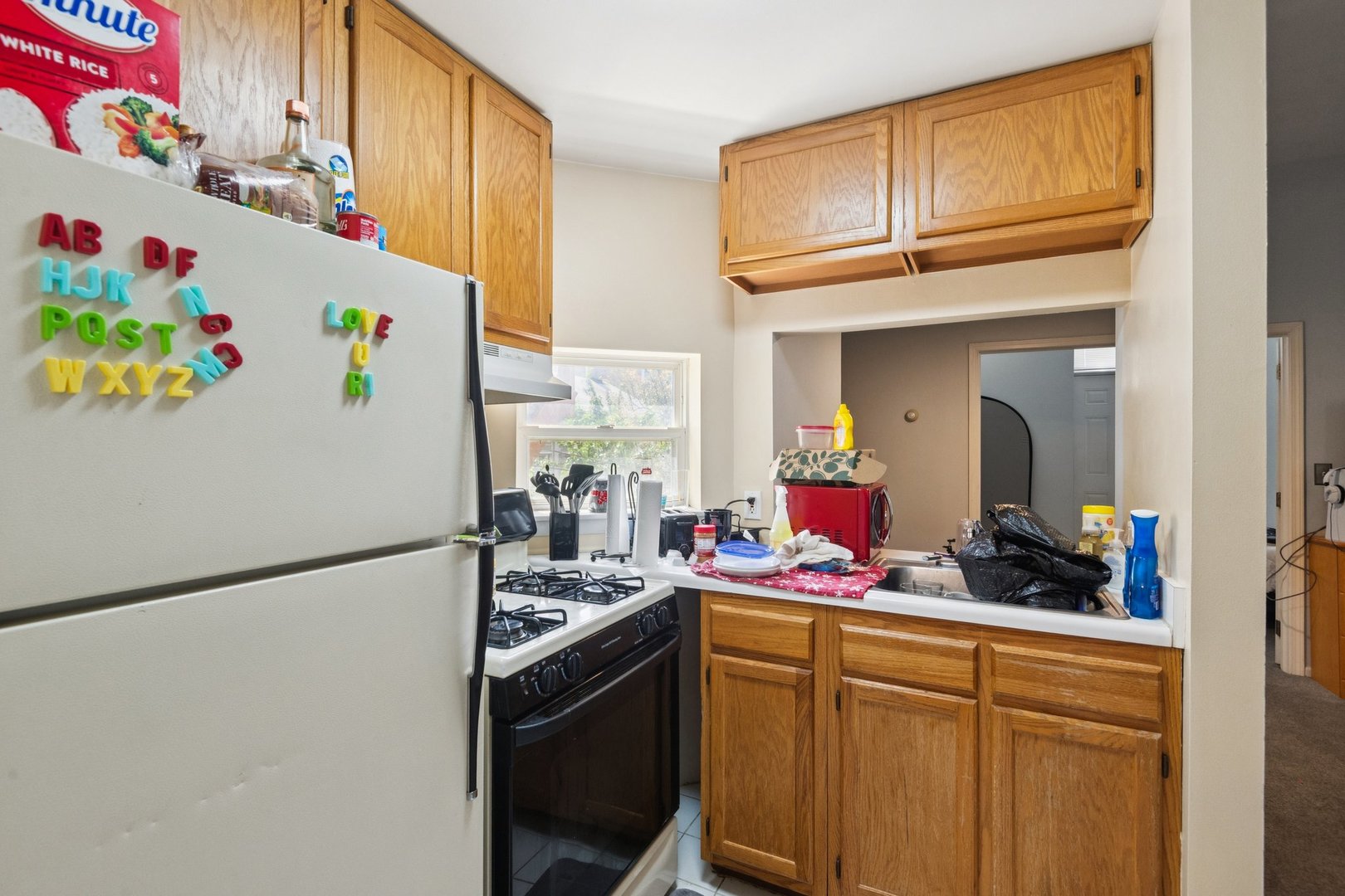 1409 W Ohio Street Property Photo 22