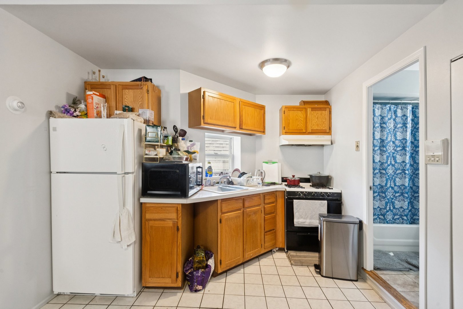 1409 W Ohio Street Property Photo 27