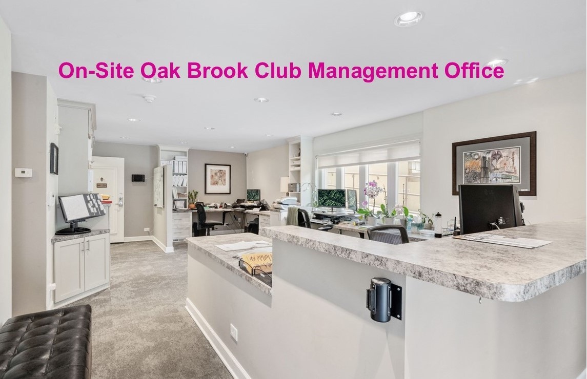 5 Oak Brook Club Drive P1n Property Photo 37