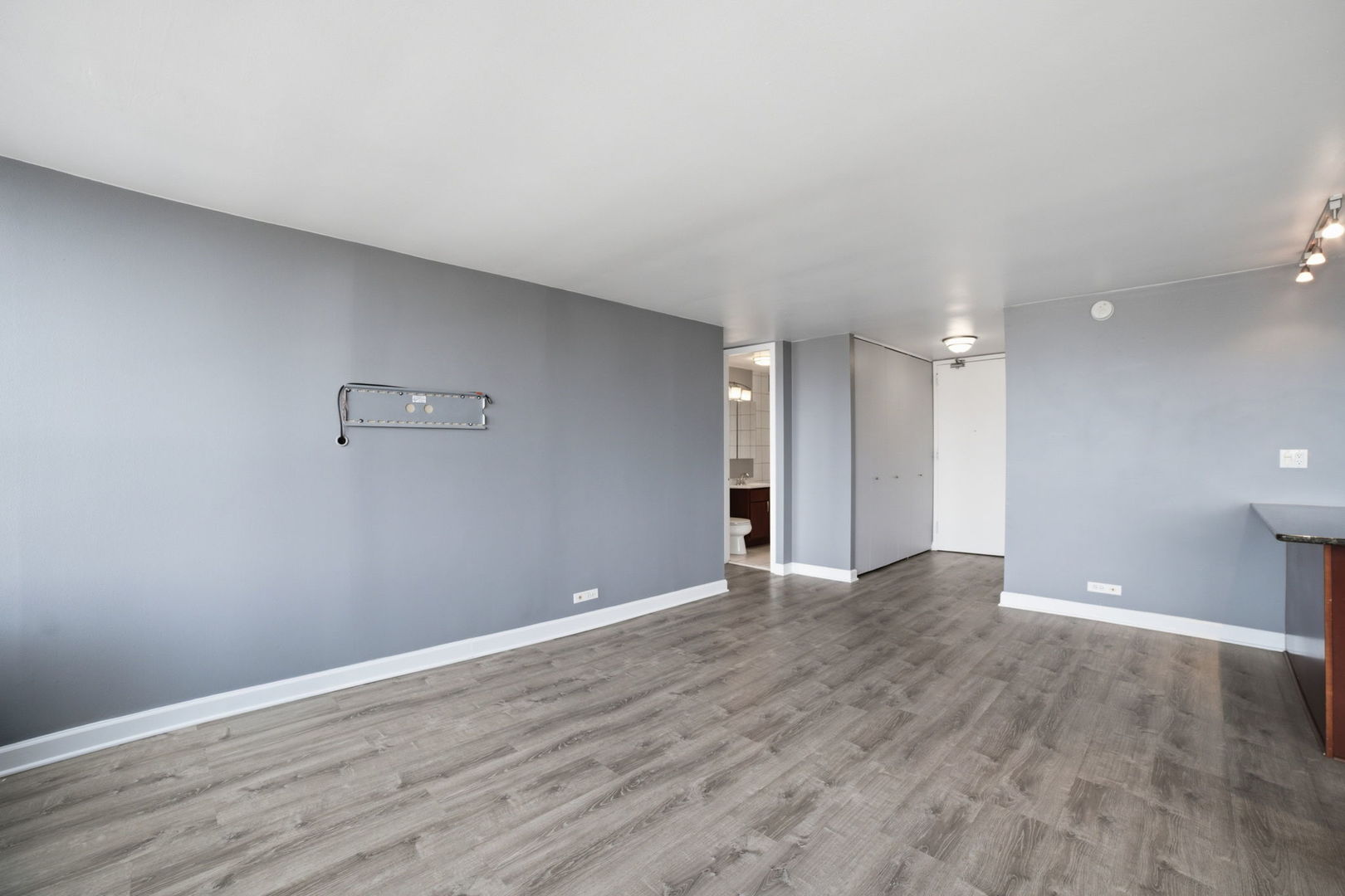 655 W Irving Park Road 1704 Property Photo 4