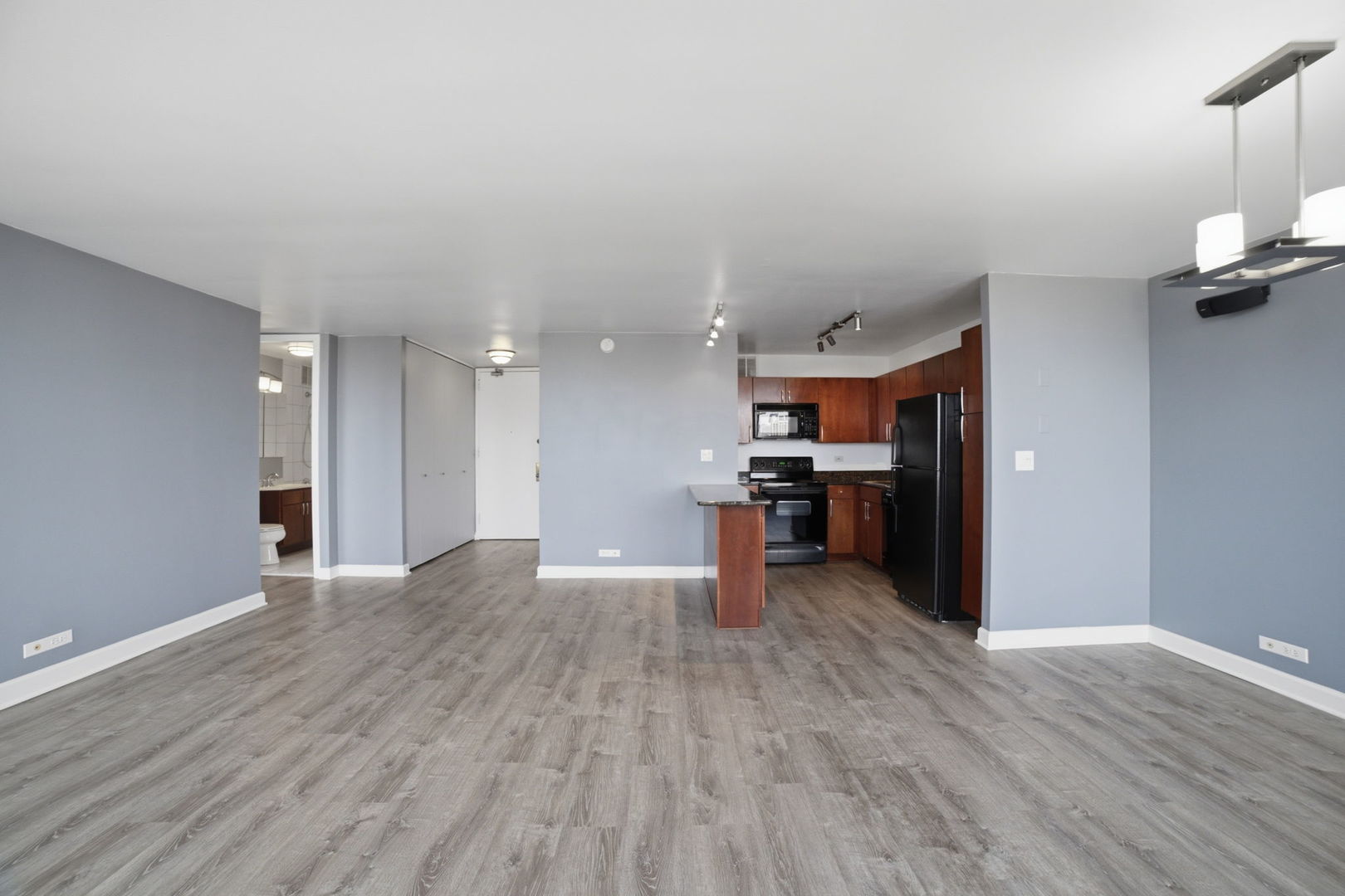 655 W Irving Park Road 1704 Property Photo 5