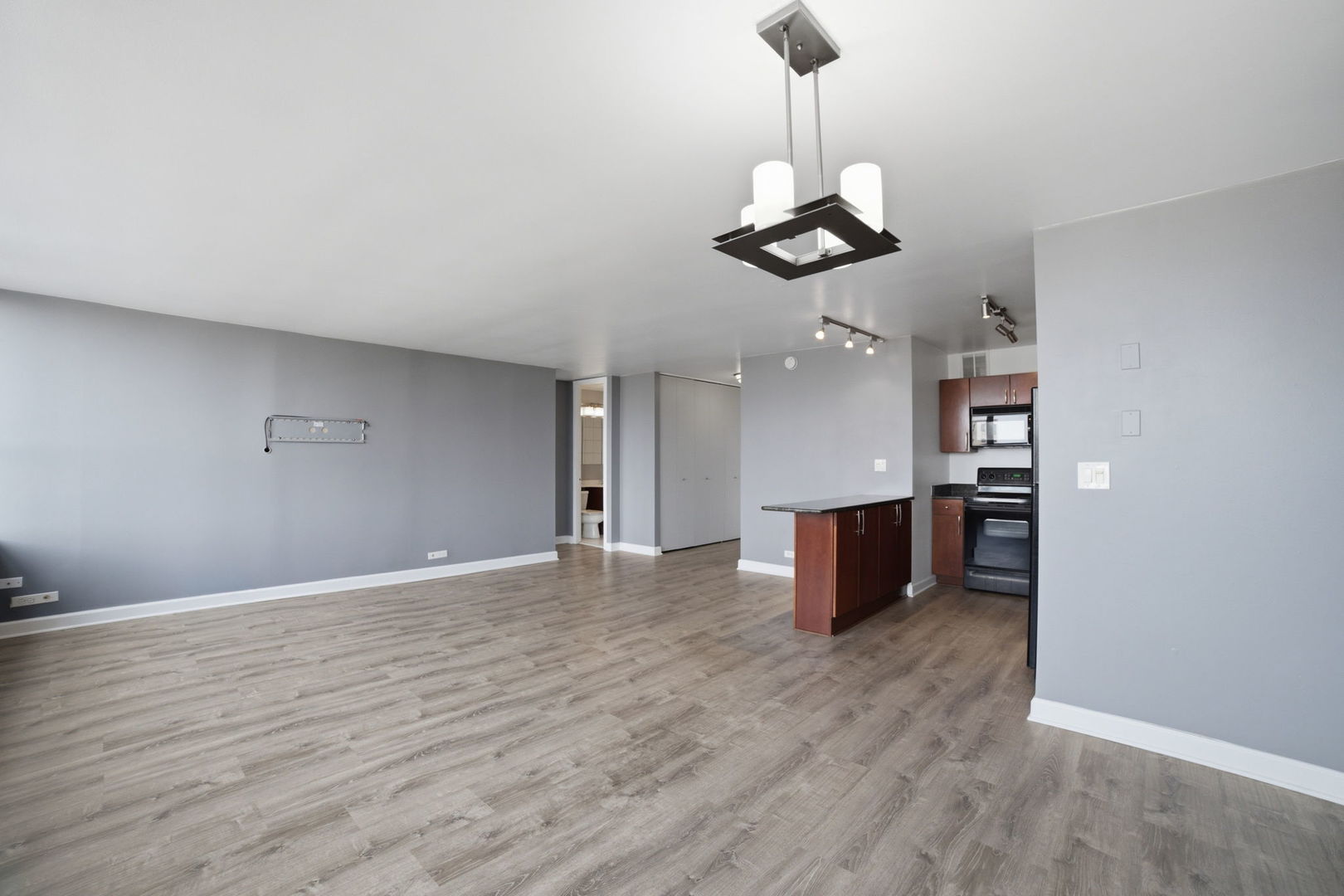 655 W Irving Park Road 1704 Property Photo 9
