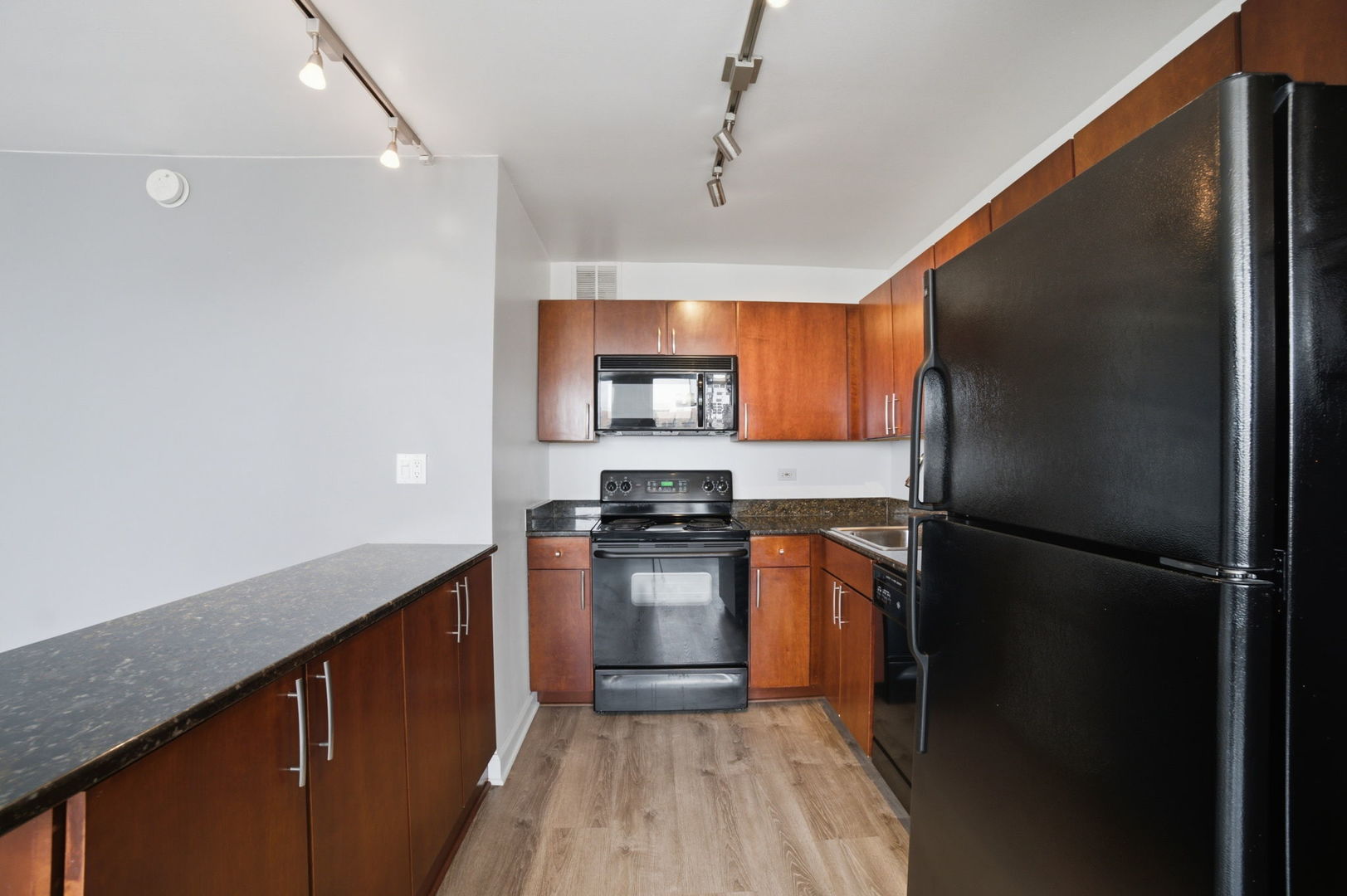 655 W Irving Park Road 1704 Property Photo 13