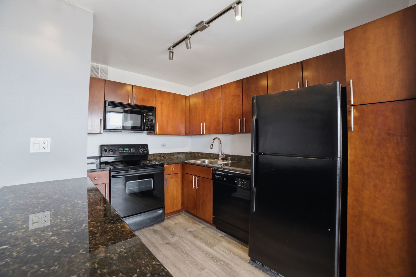 655 W Irving Park Road 1704 Property Photo 14