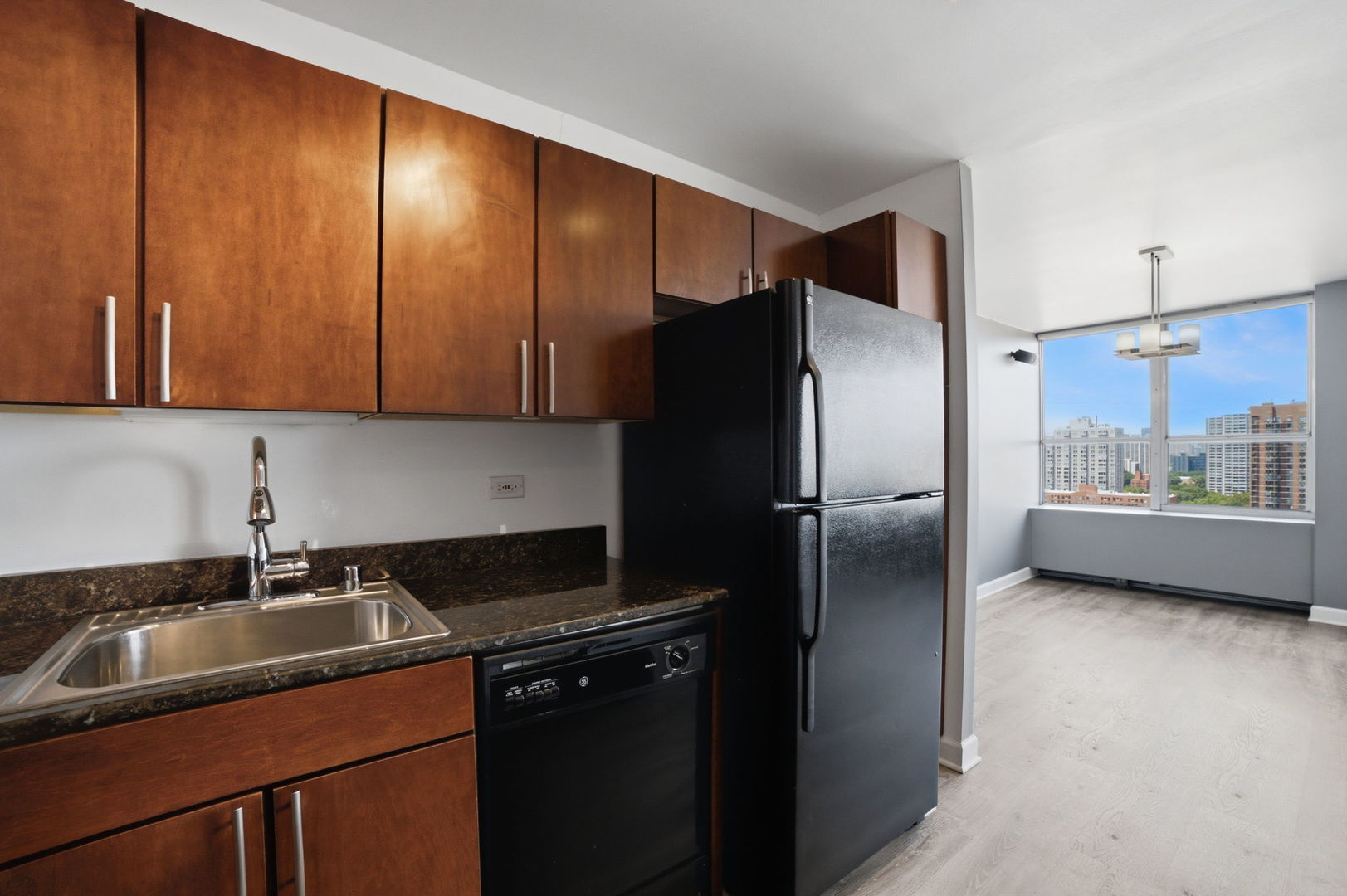 655 W Irving Park Road 1704 Property Photo 16