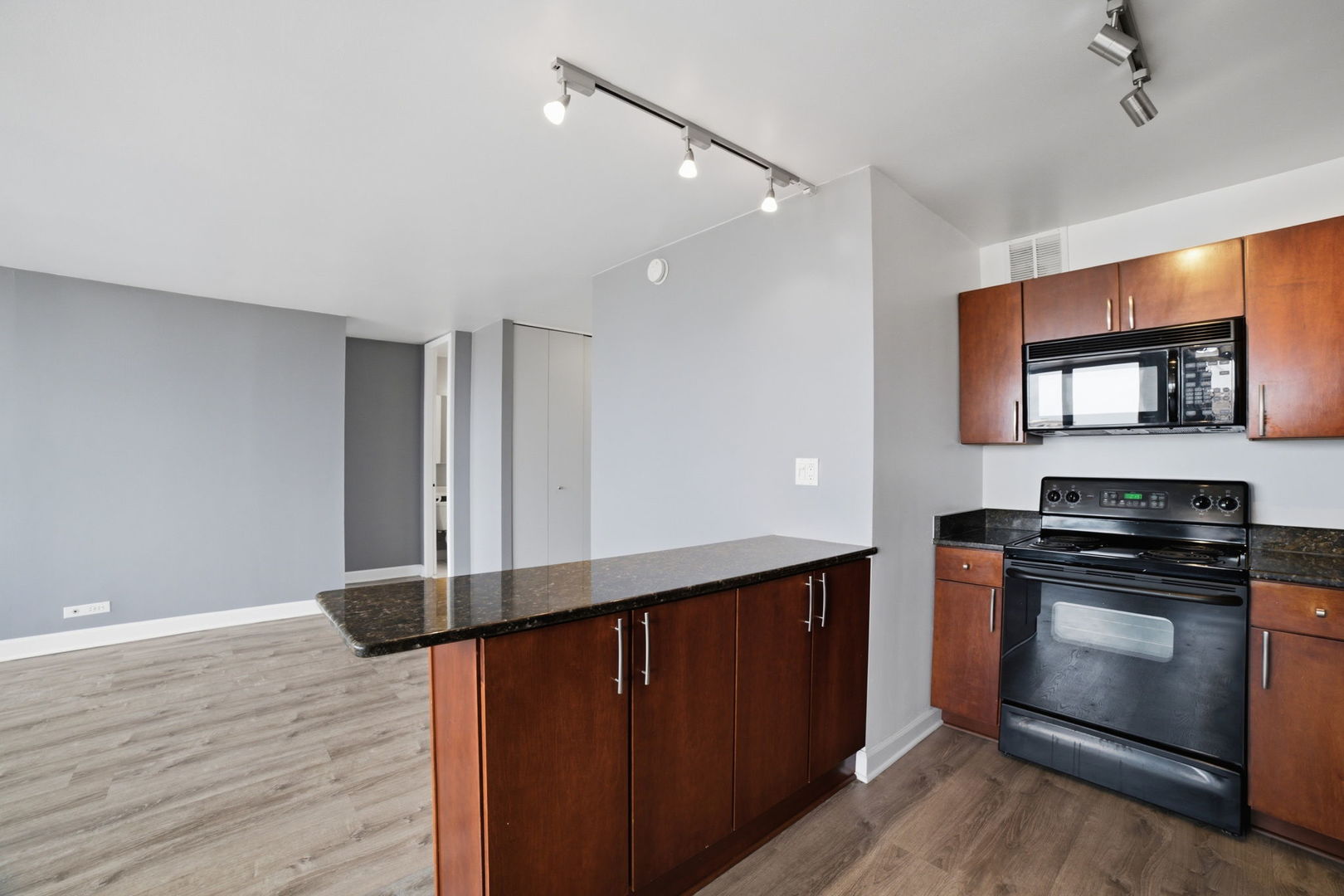 655 W Irving Park Road 1704 Property Photo 17