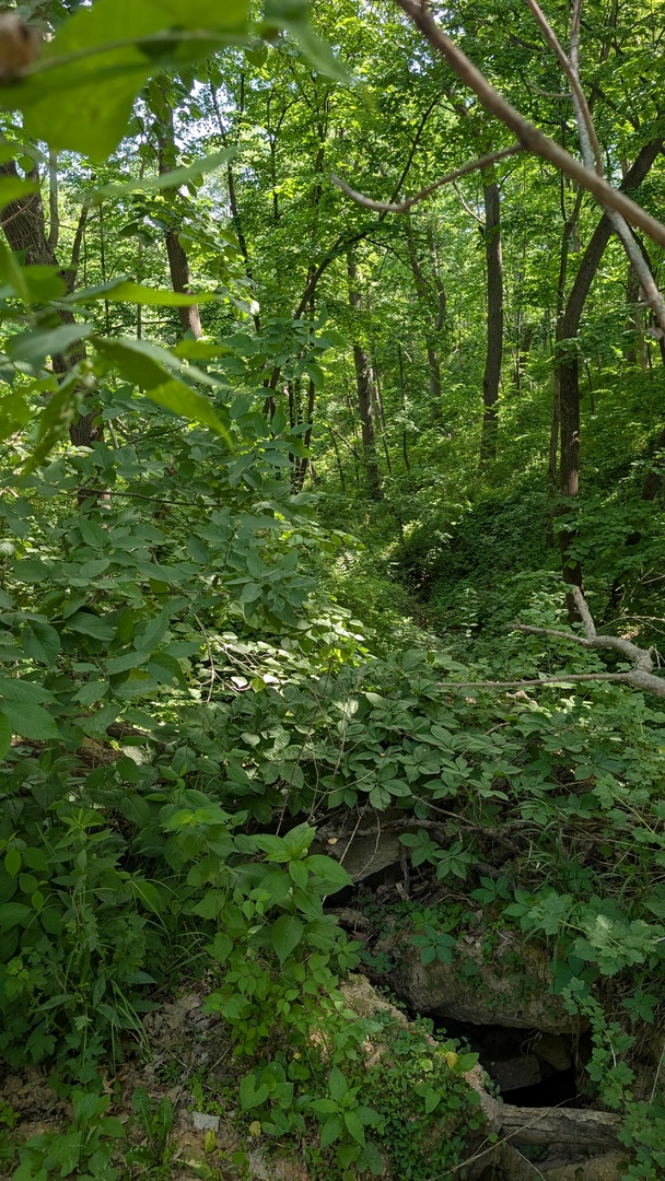 3237 W Wilderness Road Property Photo 33