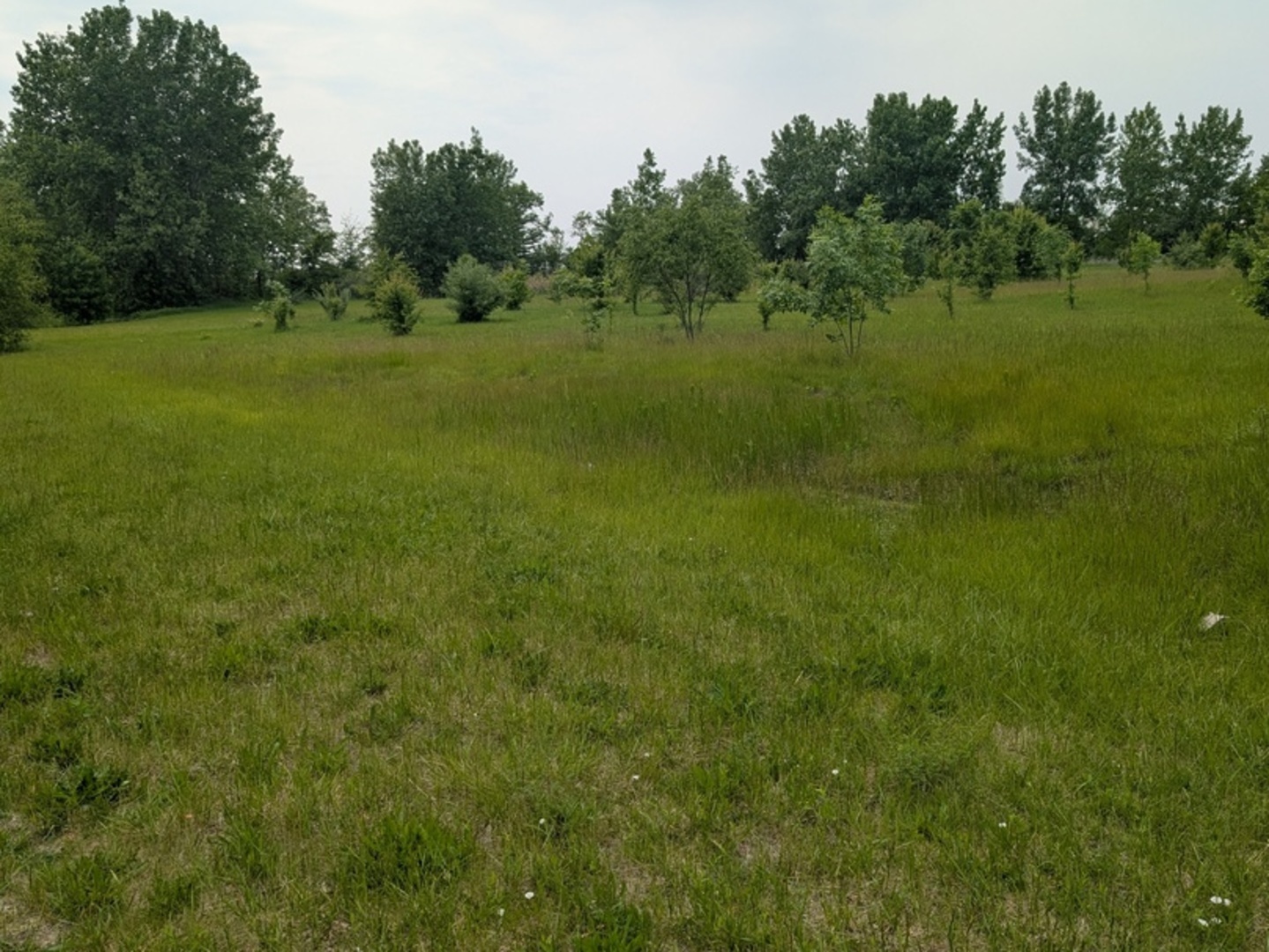 0 Gore Road Property Photo 2