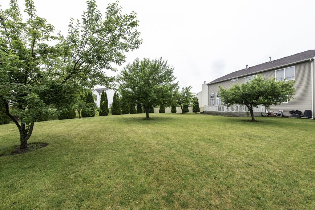 39689 Lynsee Court Property Photo 4
