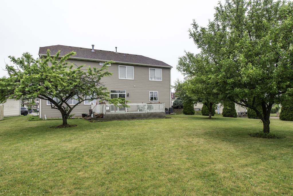 39689 Lynsee Court Property Photo 6